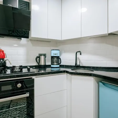 Apartmán Flat W Garden 5 Min To Citys And Metro In Sisli *